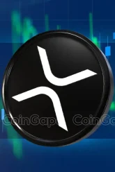 accurate calculation, enjoy a new experience of xrp asset management